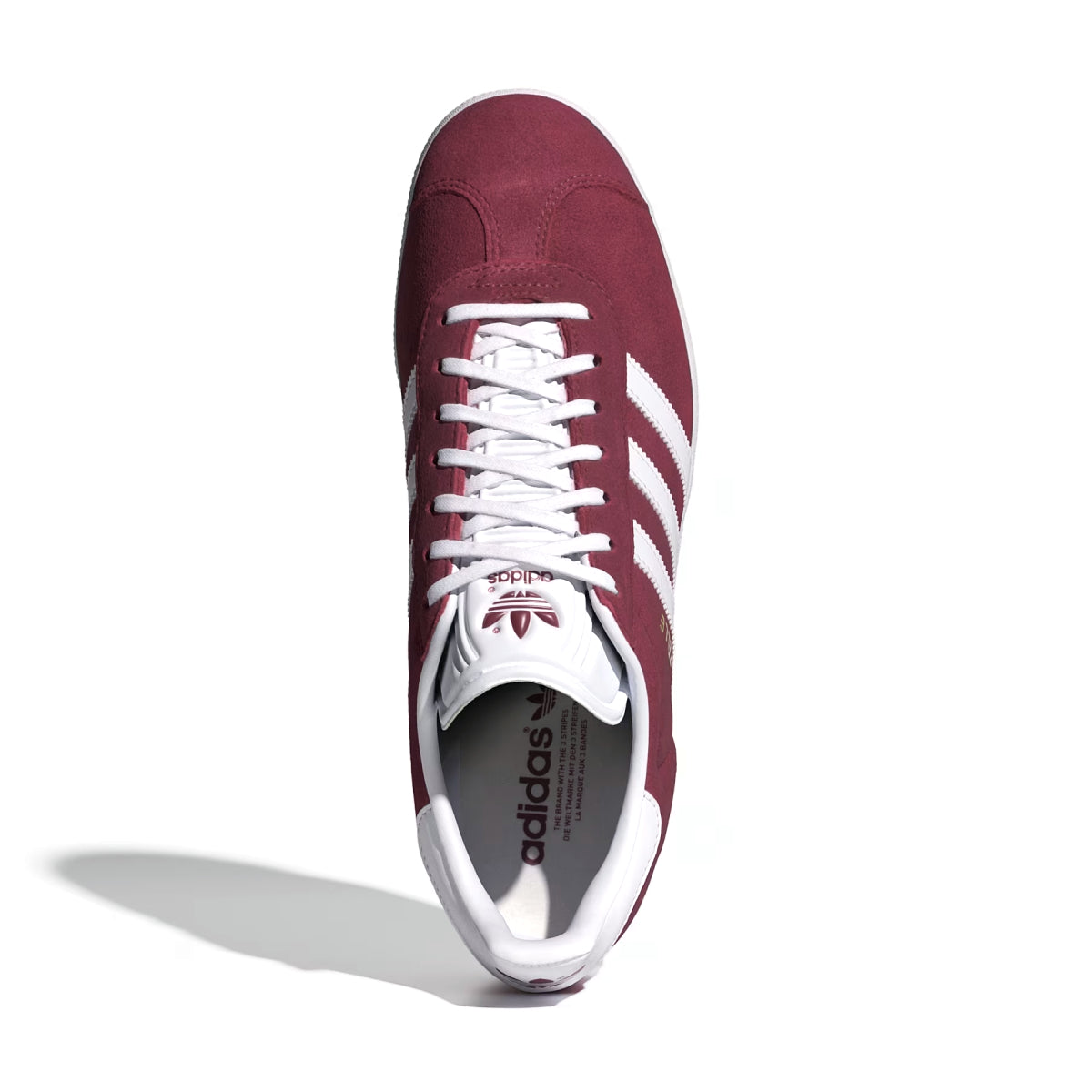 Gazelle 'Collegiate Burgundy'
