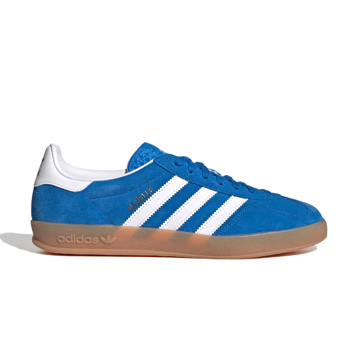 Gazelle Indoor 'Blue Bird'